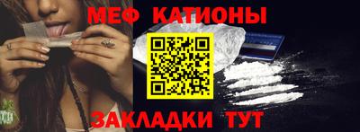 мдпв Камышлов