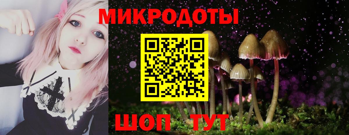 Псилоцибиновые грибы MAGIC MUSHROOMS  Вход с VPN  Красноуфимск 